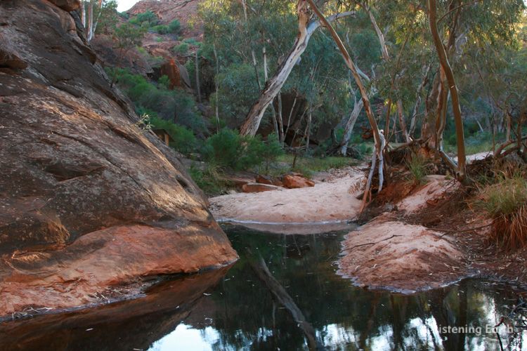 Tranquil Rockpool at Mutawintji, Outback NSW