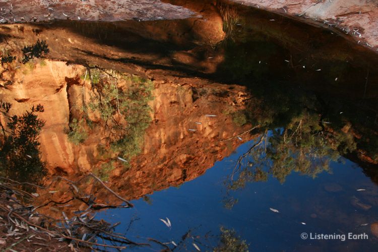Reflections in the rockpool in Homestead Creek, Mutawintji
