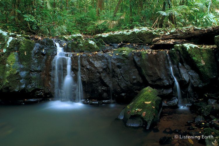 Small cascade, Palmerston National Park, north Queensland