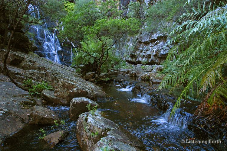 Waterfall in the Great Dividing Range, NSW