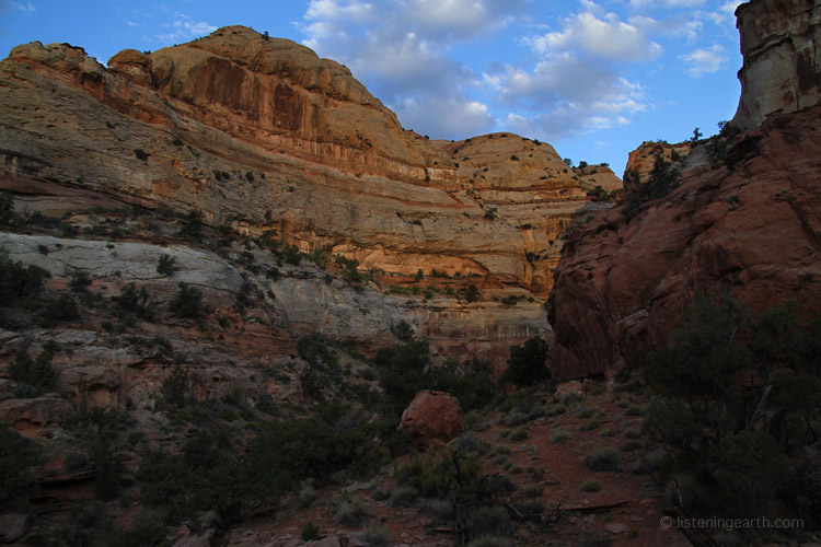 The recording location - a tributary canyon off Calf Creek