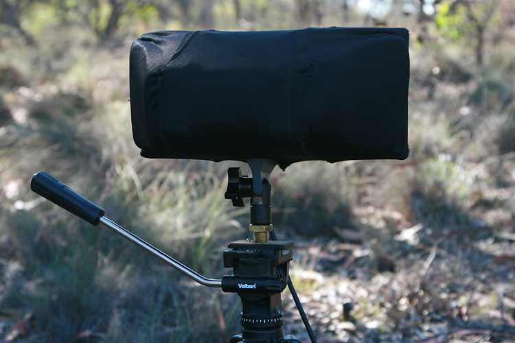 Listening Earth Blog » Blog Archive » SASS (Stereo Ambient Sampling