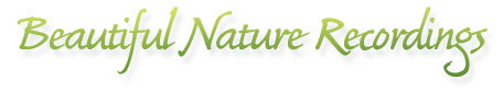 Nature sounds of nature, CD or mp3 download at Listening Earth