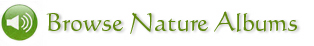 browse nature CD or download album catalogue
