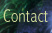 Contact Listening Earth