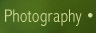 Nature and Wildlife Photography Galleries