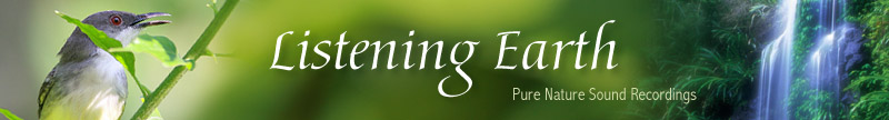 Listening Earth - pure nature sound recordings