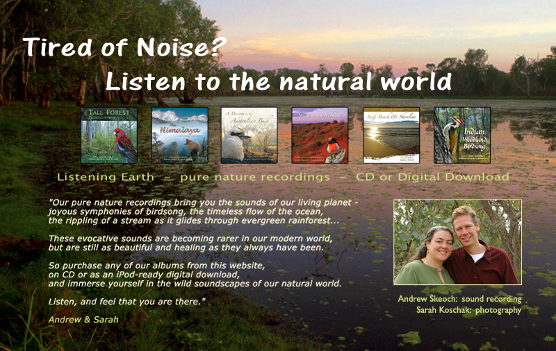 Our pure nature recordings bring you the rich sounds of our living planet - joyous symphonies of birdsong, the timeless flow of the ocean, the rippling of a stream asit glides through evergreen rainforest...

Recorded in some of the earth's last wild environments utilising custom binaural microphone technology, these beautiful albums are expansive and deeply relaxing. 

So purchase any of our albums from this website, on CD or as an iPod-ready digital download, and immerse yourself in the wild soundscapes of nature. 

Listen, and feel that you are there.