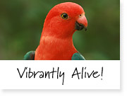 Vibrantly Alive, nature CD or mp3 download