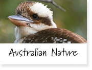 Australian nature sounds