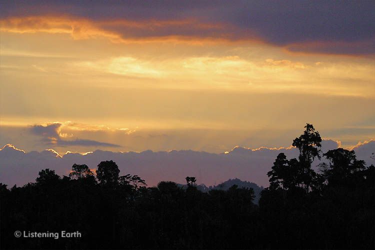 Sunset across the rainforests of Sulawesi