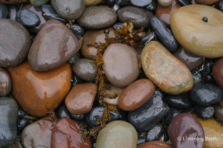 Wave-worn pebbles