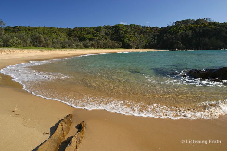 Gentle waves on a crescent of sand, Moon Bay, NSW