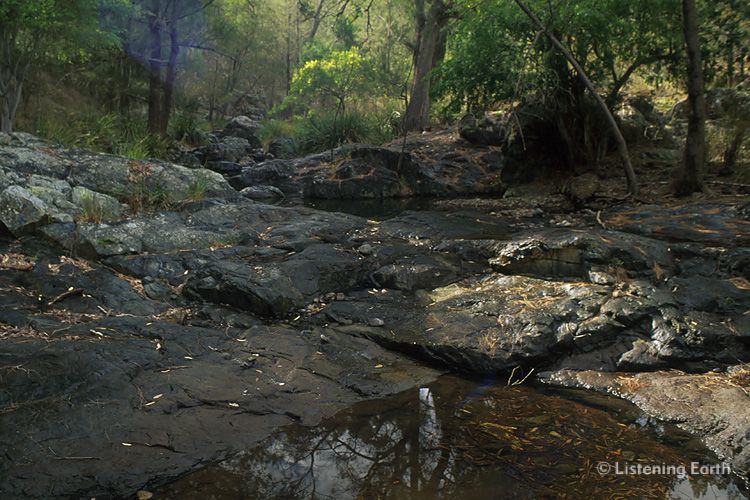 Bush creek in granite country
