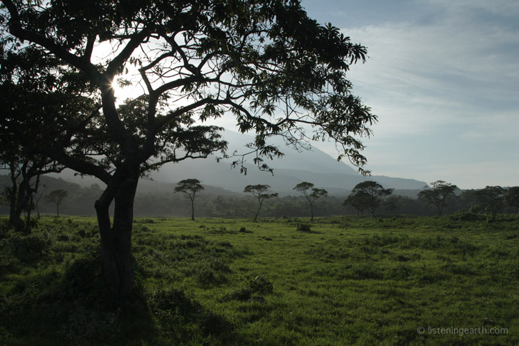 Late afternoon light over a grassland area frequented by wildlife, <br> with the flanks of Mt. Meru behind