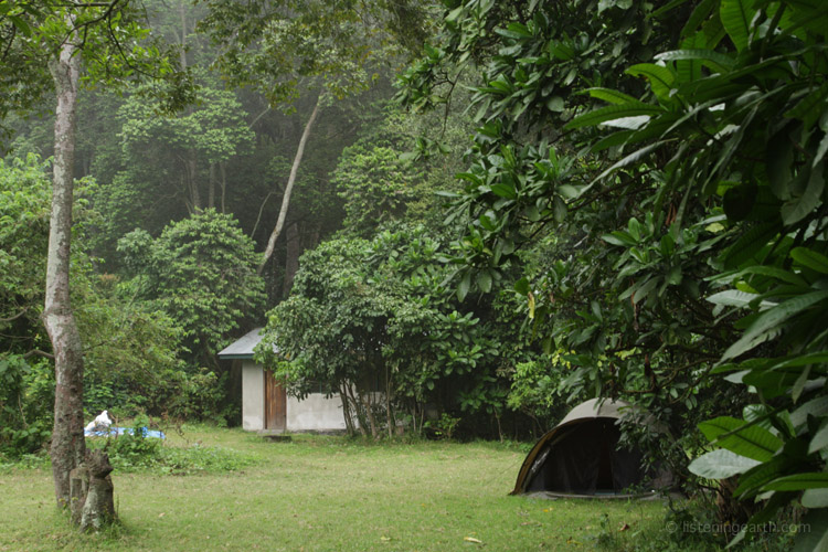 Our camp in the midst of the tropical forest