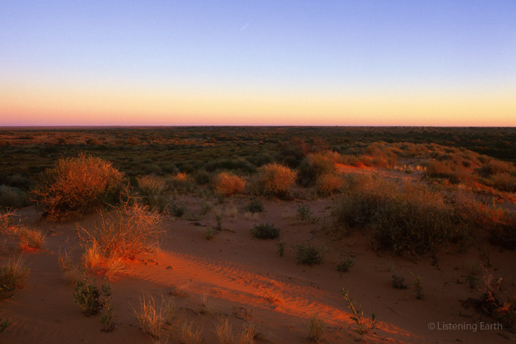 Outback dunefield