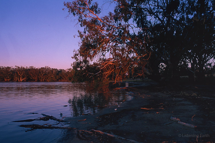 Billabong on the lower reaches of the Murray river