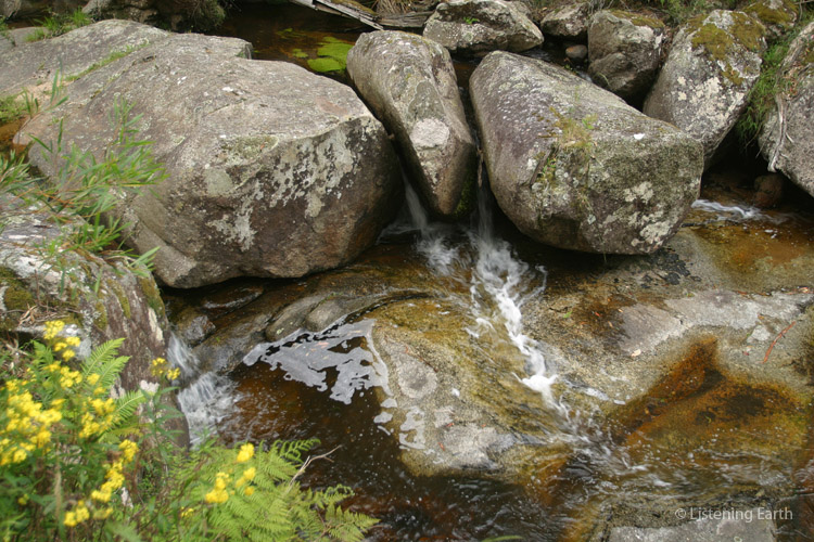 The bed of the creek is formed of mossy granite