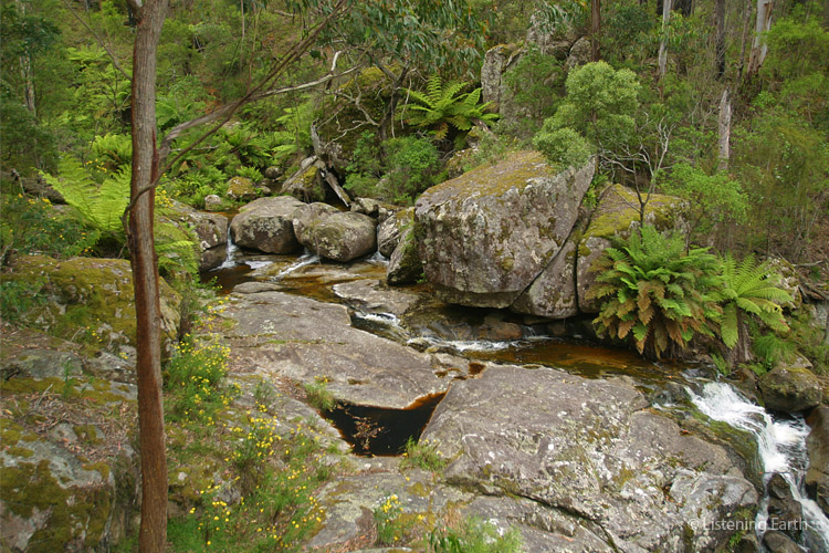 Here Six Mile Ck forms a small waterfall a few hundred meters <br> from where it joins the main Tantawangalo Creek