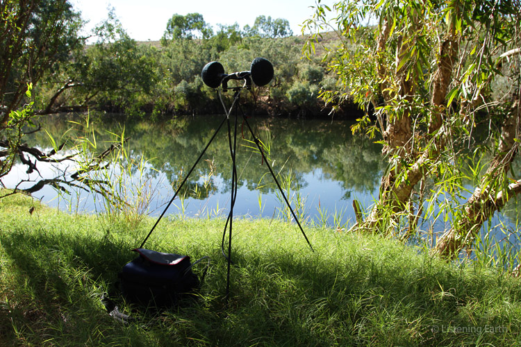 On location - the recording site on the banks of the river, with trees to each side